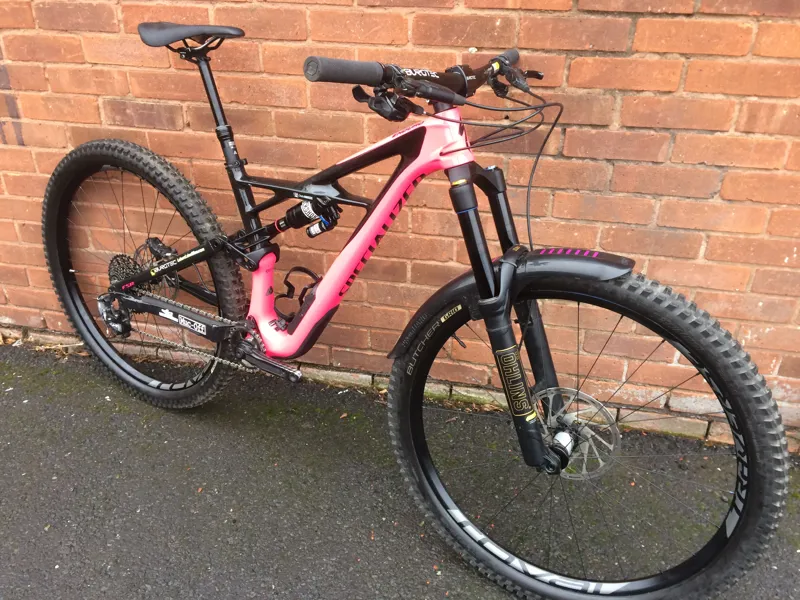 specialized enduro 2018 pink