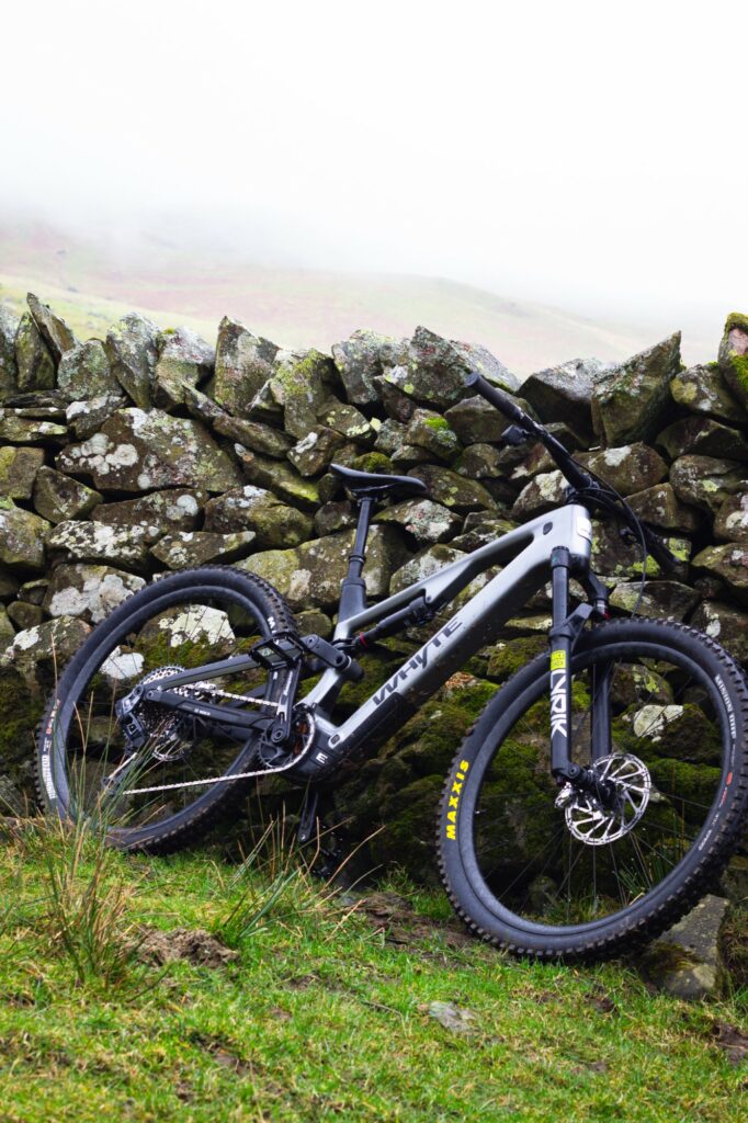 whyte-e-lyte