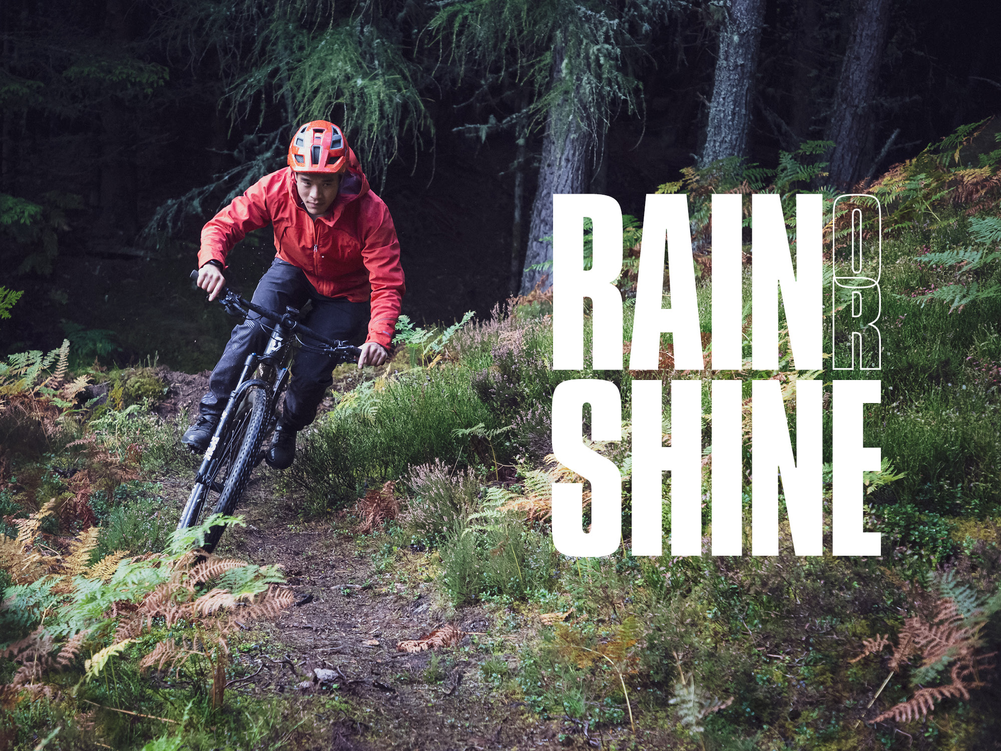 Rain or Shine