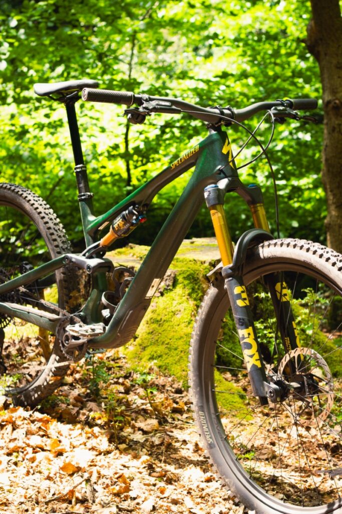 specialized-stumpjumper-new-15