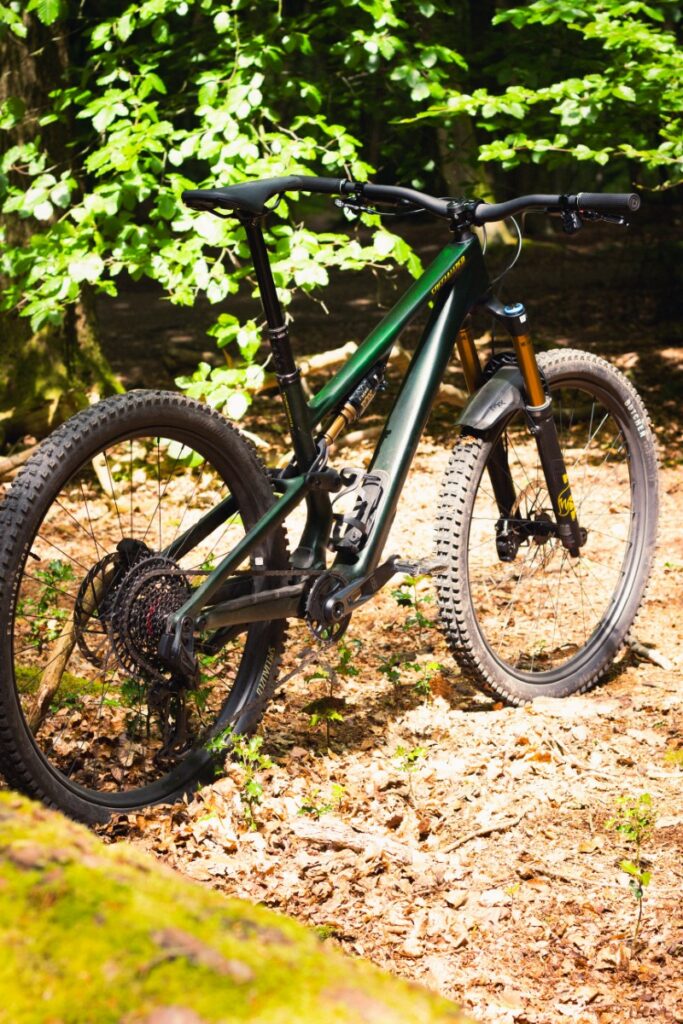 specialized-stumpjumper-new-15