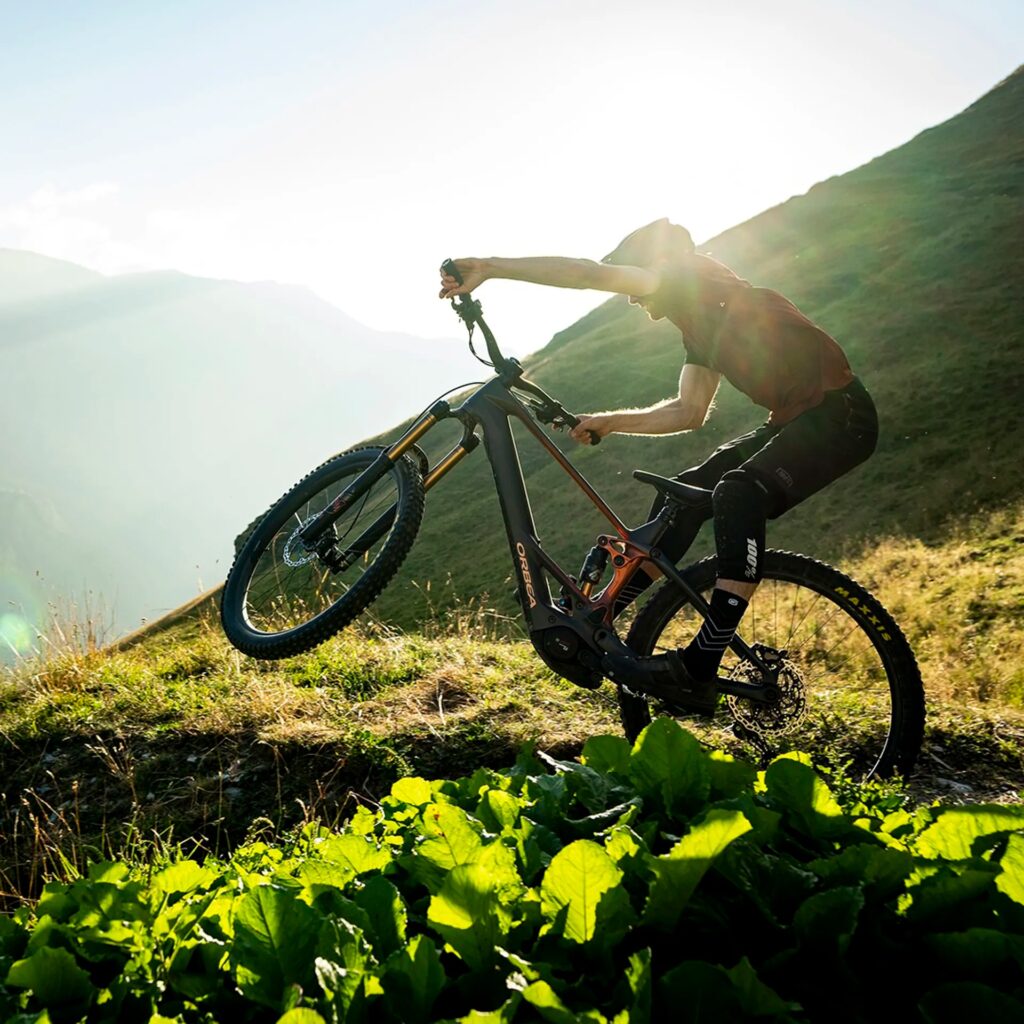 Orbea Wild ST H20