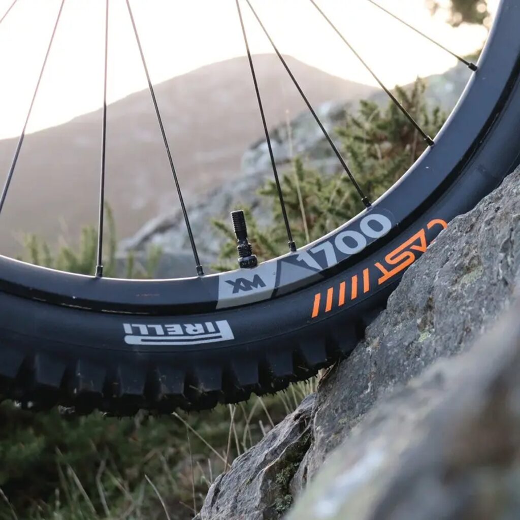 Protagonist 29er Tyre