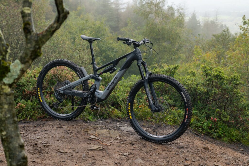 Whyte Karve