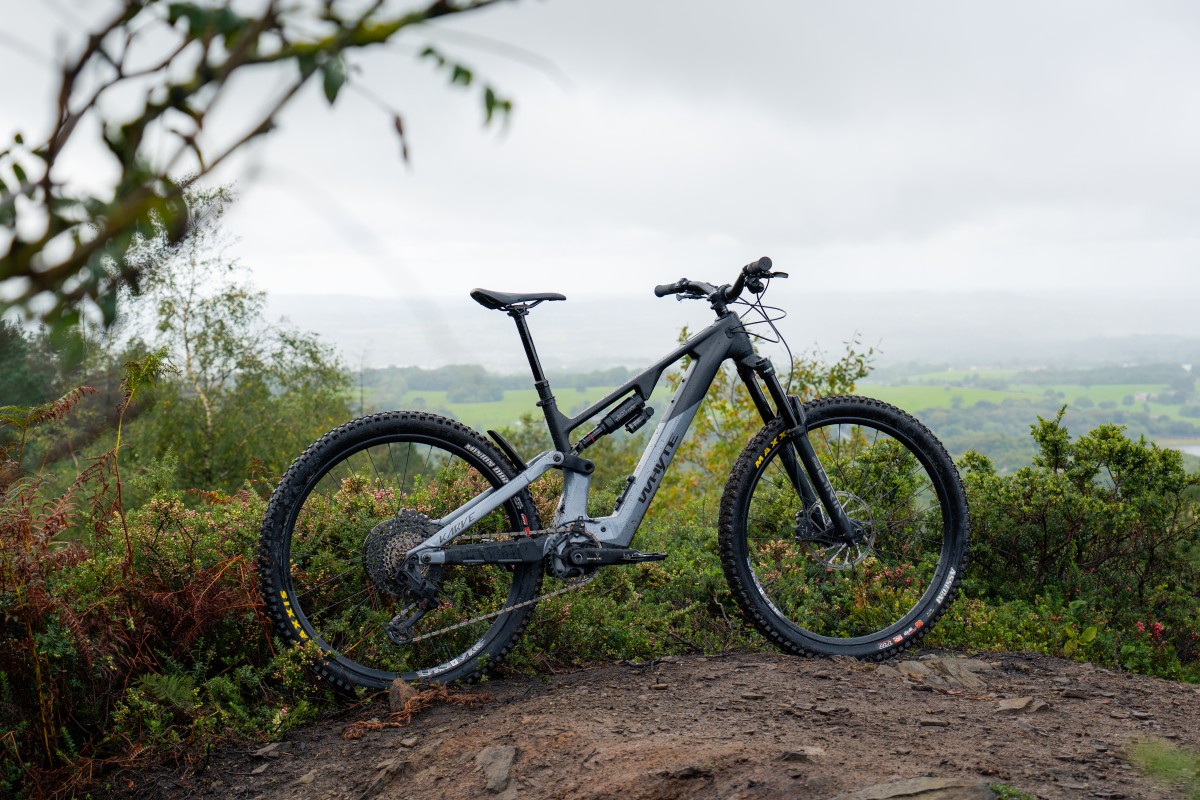 Spotlight: Whyte Karve