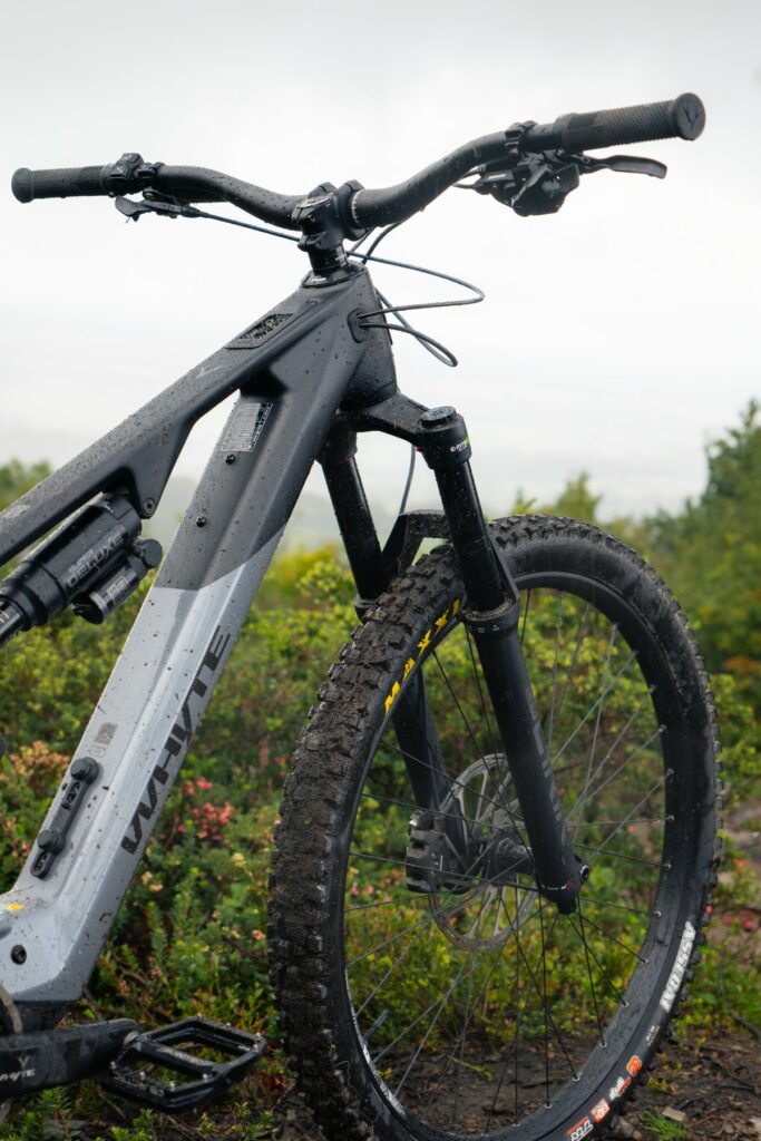 whyte karve