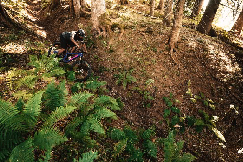 Leisure Lakes Bikes Bike Shop Electric Bikes Road Bikes