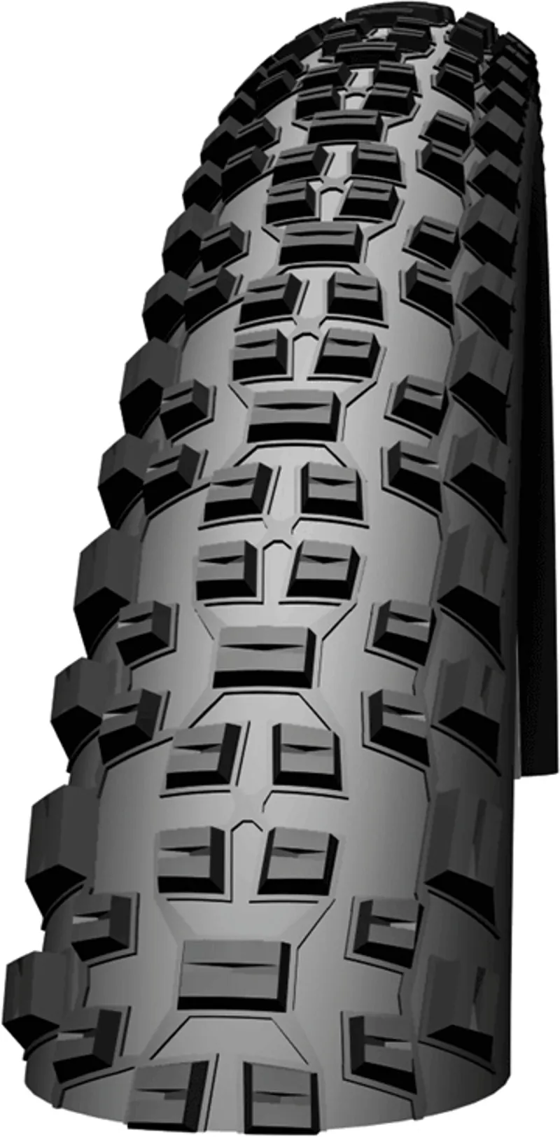 Schwalbe Racing Ralph TL 29in Tyre