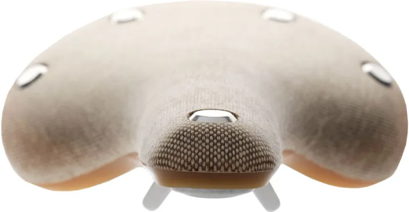 Brooks Cambium C17 Saddle Natural-3