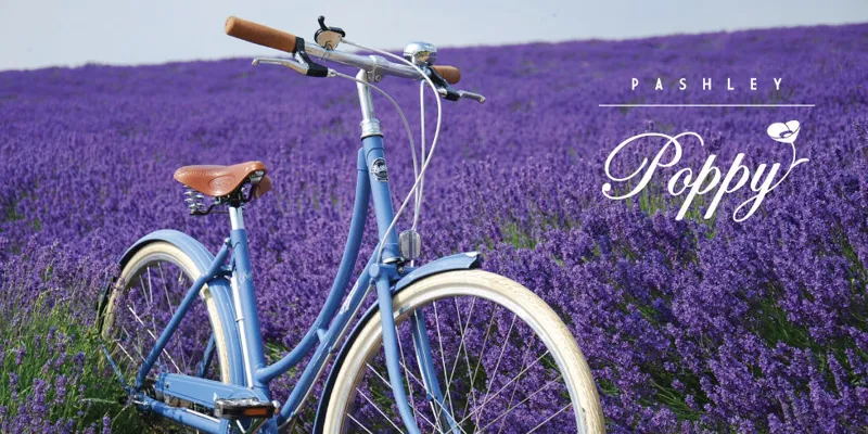 Pashley Poppy Womens Hybrid Bike 2016 Pastel Blue-6