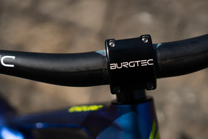 Specialized SWorks Enduro 29er Custom Build 2018 Chameleon-7