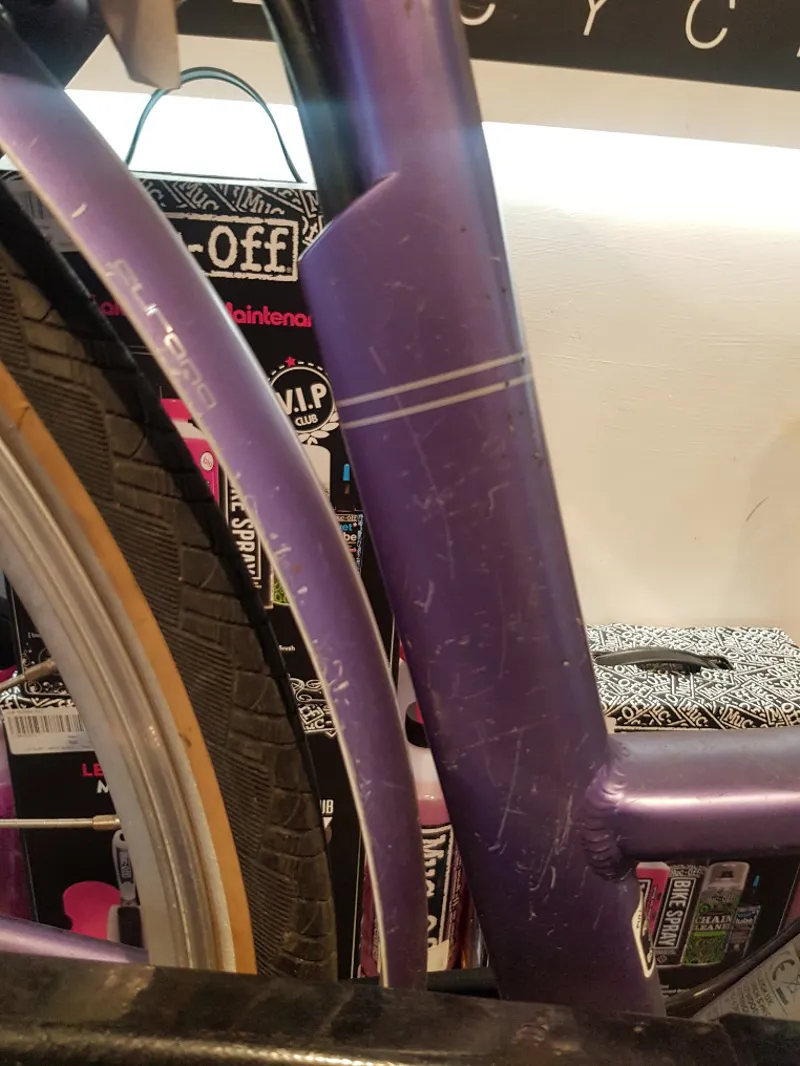 Ex Hire Raleigh Pioneer Low Step Electric Bike 2017 Medium Lilac-3