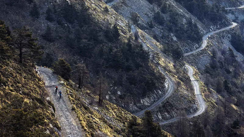 Trek Powerfly 7 Womens Electric Bike 2017 Charcoal/Pink-5