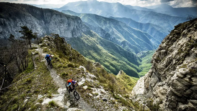 Trek Powerfly 8 FS Plus Electric Bike 2017 Black/Green-2