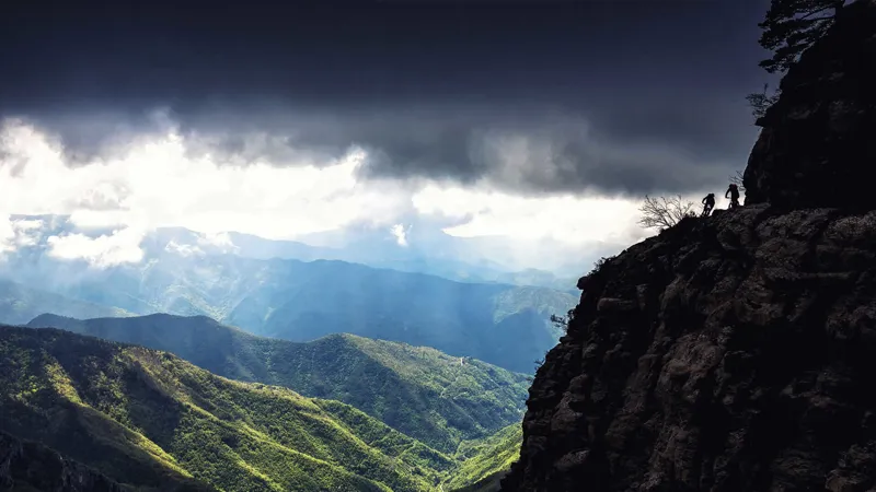 Trek Powerfly 8 FS Plus Electric Bike 2017 Black/Green-5