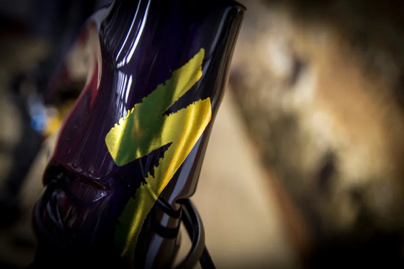 Specialized Stumpjumper Coil Carbon 29er 2018 Purple Tint/Gold-3