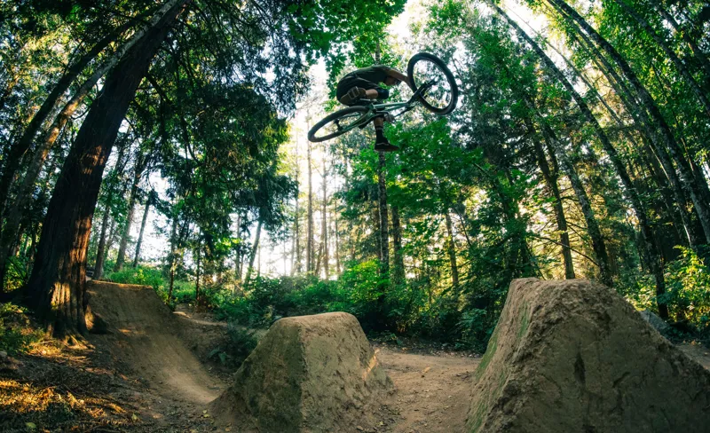 Transition PBJ Steel Hardtail Jump Bike Frame Only 2021 Black/Copper-3