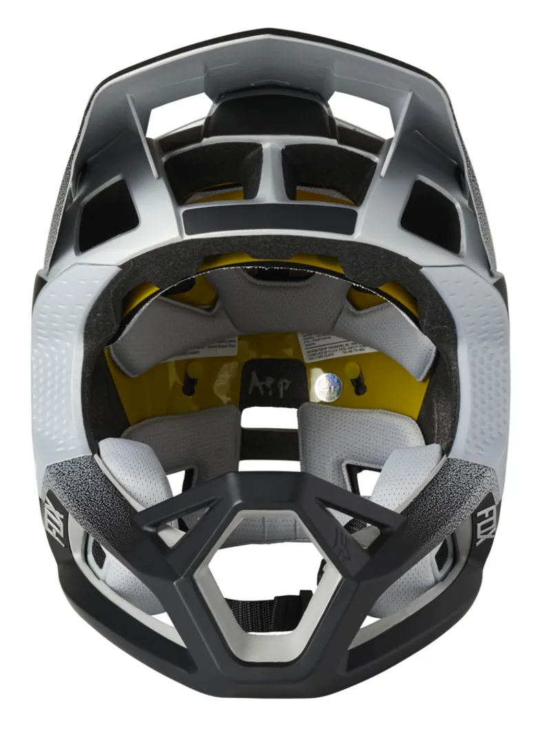 Fox Proframe MIPS Full Face MTB Helmet Vapor Silver/Black-2