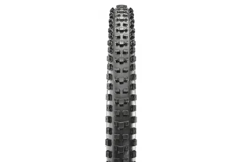 Maxxis Dissector EXO+ TR Tyre Black-2