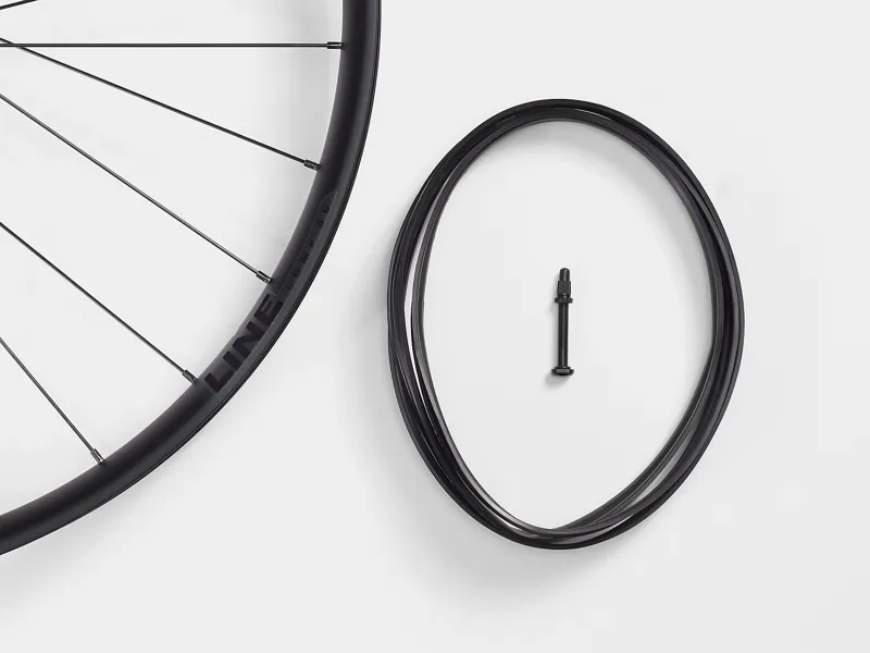 Bontrager Line Comp 30 Disc 29in Front Wheel 110mm TLR Clincher 6-Bolt 28H Black-2