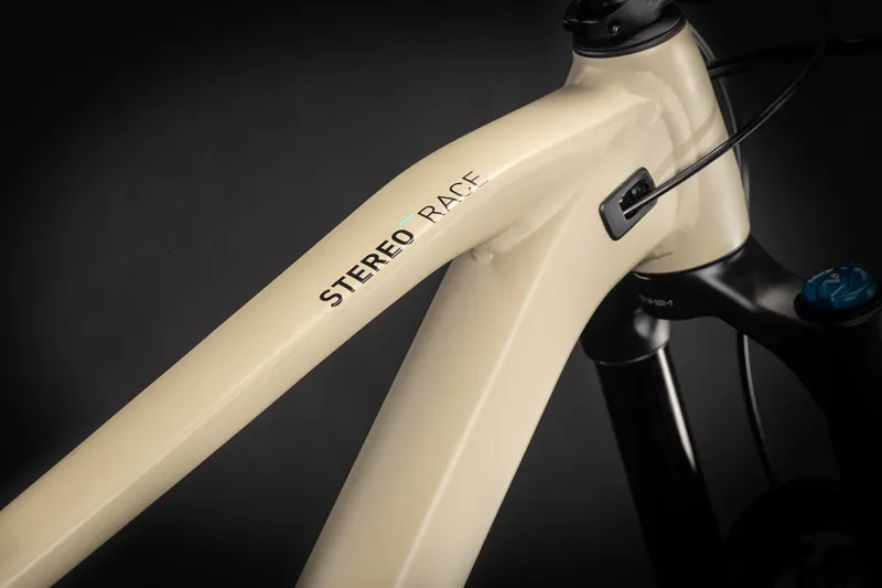 Cube Stereo 170 Race 29er Mountain Bike 2021 Desert/Grey-1