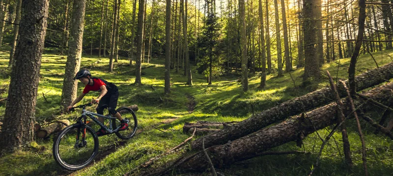 Orbea Laufey H20 24in Wheel Kids Mountain Bike 2022/23 Black/Rainbow-5