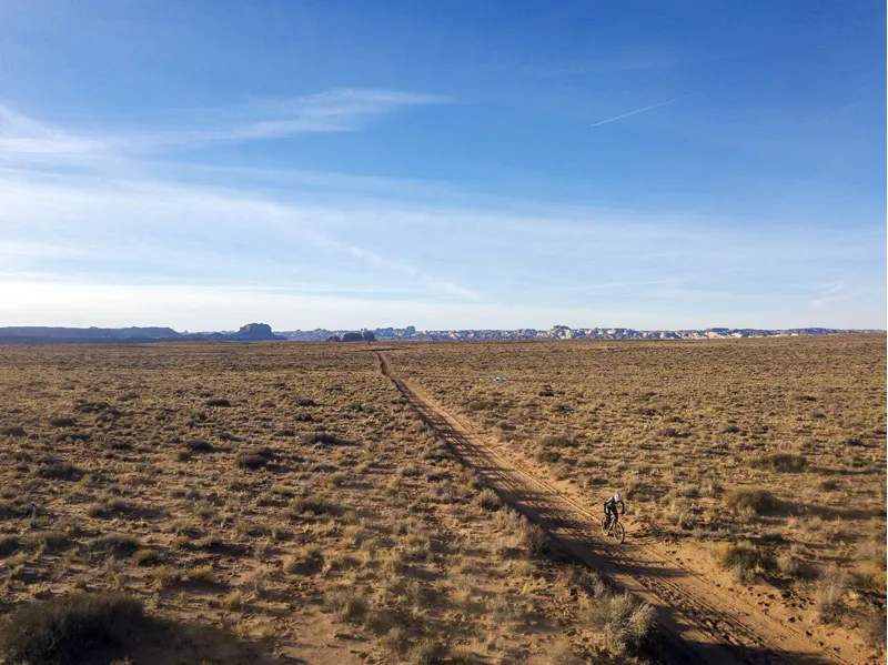 Santa Cruz Blur CC X01 TR 29er Mountain Bike 2021 Gloss Carbon-4