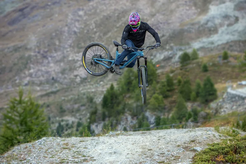  Nukeproof Giga 290 29er Mountain Bike Frame 2021 Artichoke Green-10