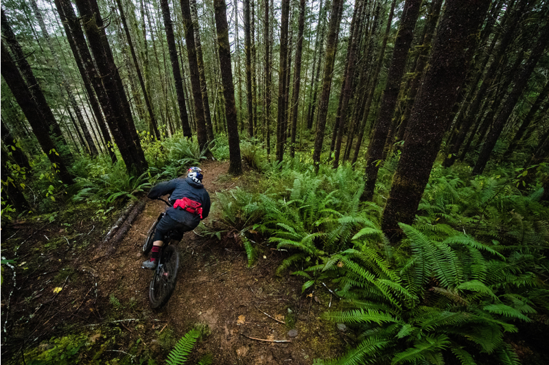 Dakine Hot Laps 2L Lumbar Pack Deep Red-5