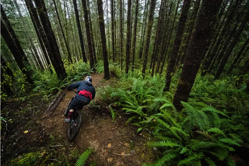 Dakine Hot Laps 2L Lumbar Pack Sparrow-4