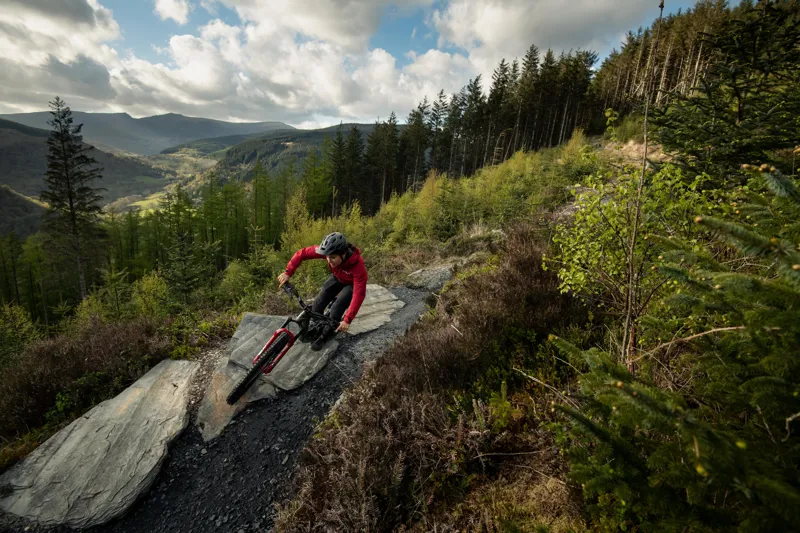 Santa Cruz Bronson CC X01 MX Mountain Bike 2022 Moss Green-2