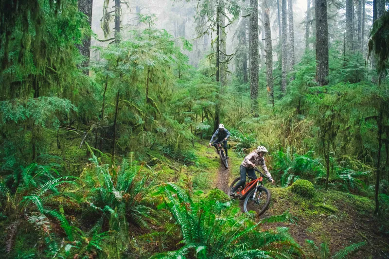 Specialized SWorks Turbo Levo Electric Mountain Bike 2022 Blue Ghost-4