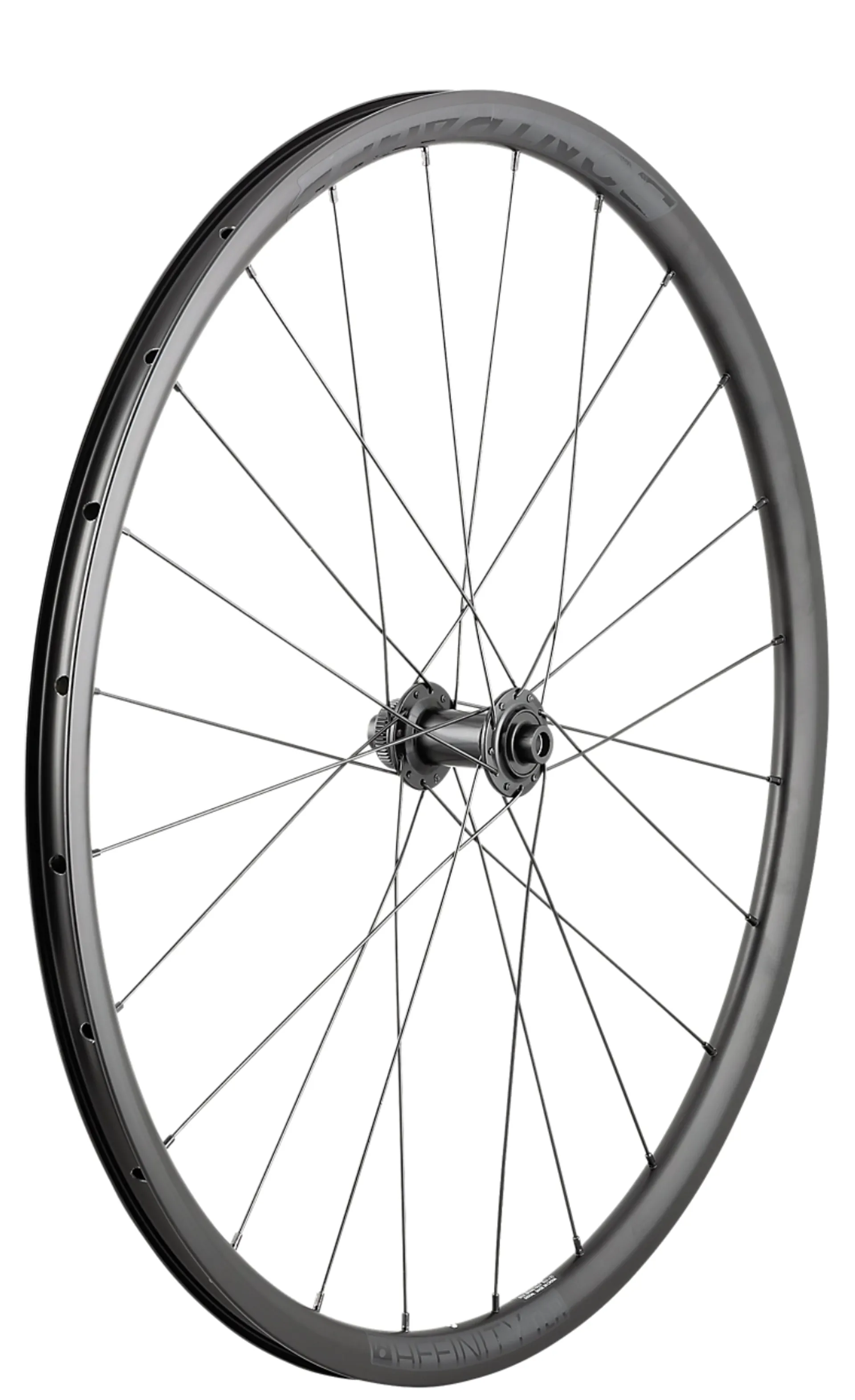 Bontager Duster Elite 29er TLR 6-Bolt 32H Disc MTB Wheel Black