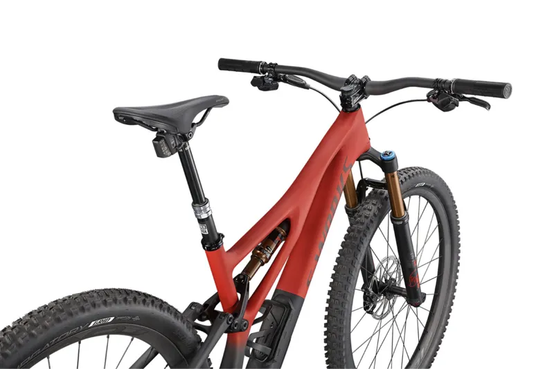 Specialized SWorks Stumpjumper XX1 Mountain Bike 2021 Redwood/Smoke-3