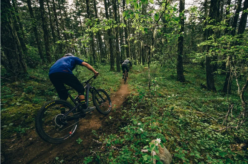 Santa Cruz Nomad Carbon C S GX 27.5 Mountain Bike 2020 Gloss Black-3