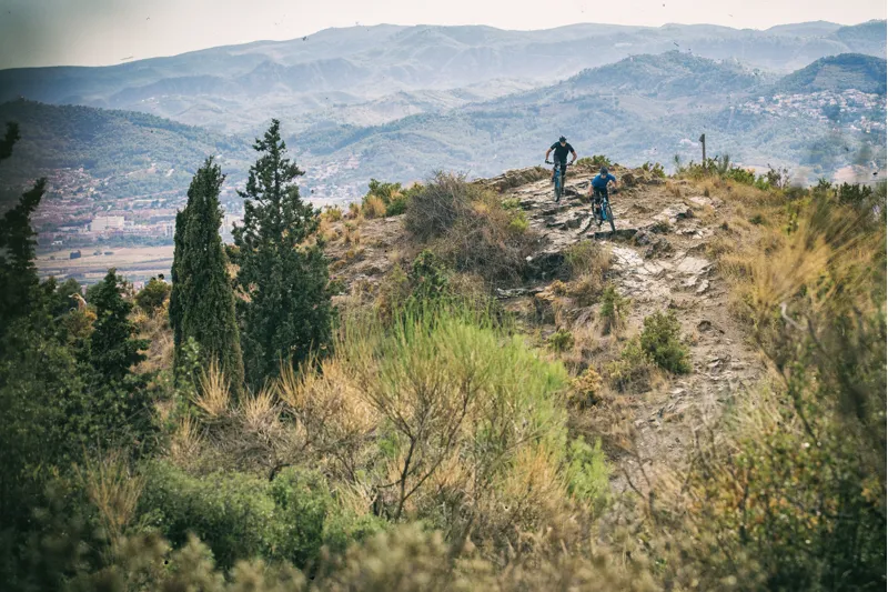 Focus Jam2 Plus Electric Bike 2017 Grey/Blue-5