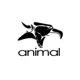 Shop all Animal products