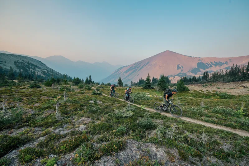 Cannondale Habit Carbon 3 29er Mountain Bike 2019 Black Pearl-7