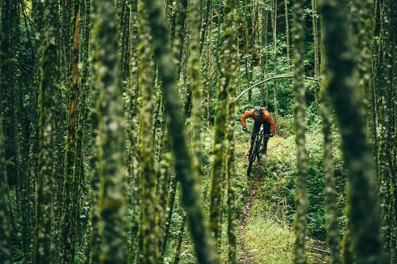 Cannondale Habit Carbon 3 29er Mountain Bike 2019 Black Pearl-8