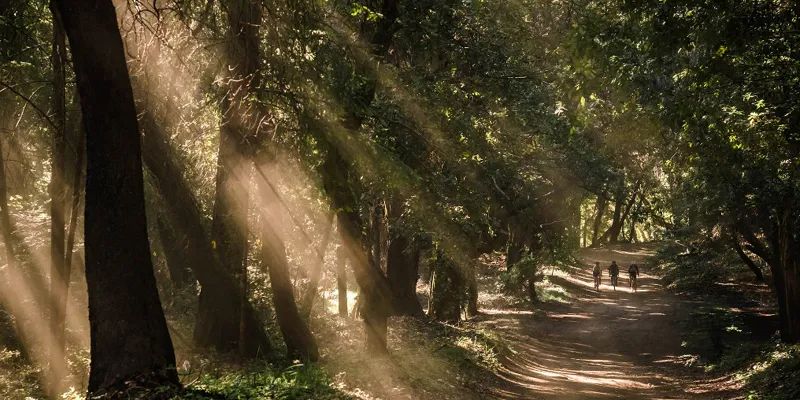 Cannondale Topstone Apex 1 Gravel Bike 2019 Electric Blue-1