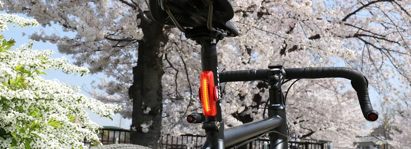 Cateye Rapid X USB Rechargeable Rear Light-2