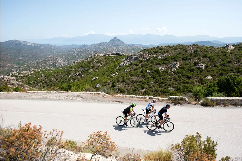 Cube Attain SL Road Bike 2017 Black/Yellow-5