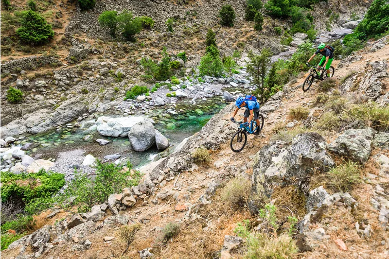 Cube LTD Pro Hardtail Mountain Bike 2017 Green/Black-2