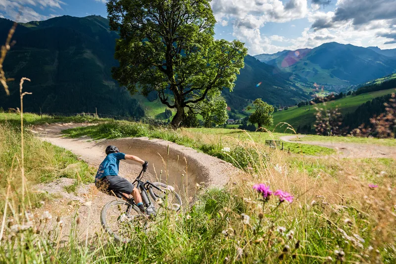 Cube Stereo Hybrid 120 C:62 SL 500 29er Electric Bike 2017 Carbon-10