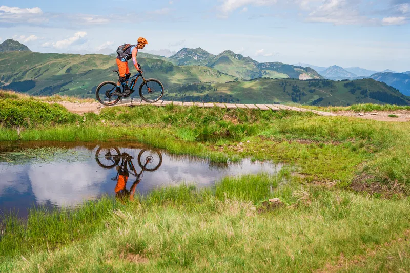 Cube Stereo Hybrid 160 HPA 27.5 500 Electric Bike 2017 Action Team-6