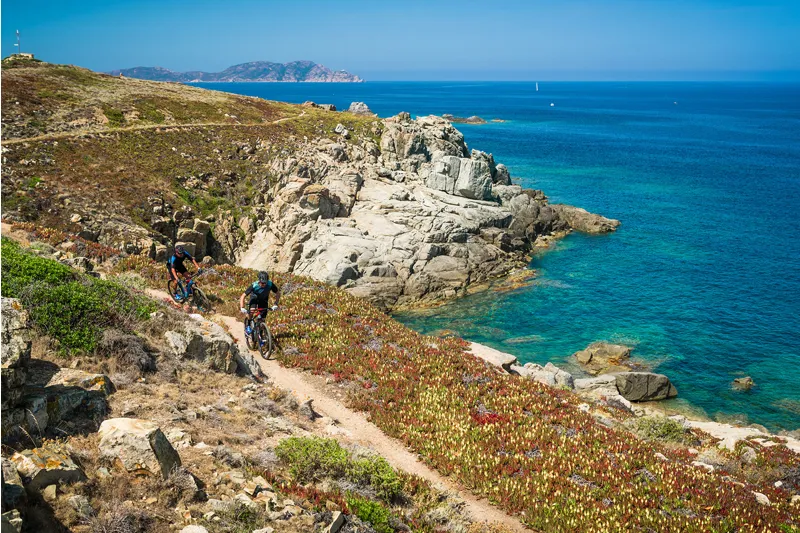 Cube Reaction GTC Race Hardtail Mountain Bike 2017 Blue/Orange/Black-2