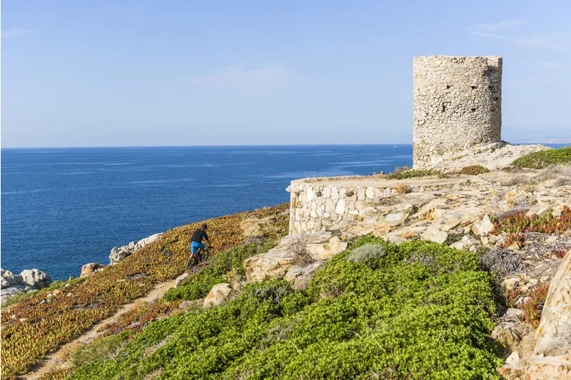 Cube Elite Hybrid C:62 Race 500 29er Electric Bike 2017 Black/White-2