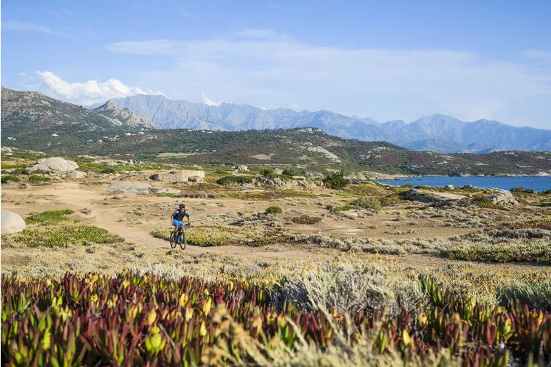 Cube Elite Hybrid C:62 Race 500 29er Electric Bike 2017 Black/White-7