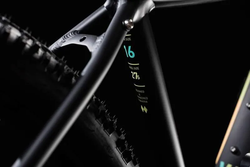 Cube Access EAZ Womens Mountain Bike 2018 Black/Mint-4