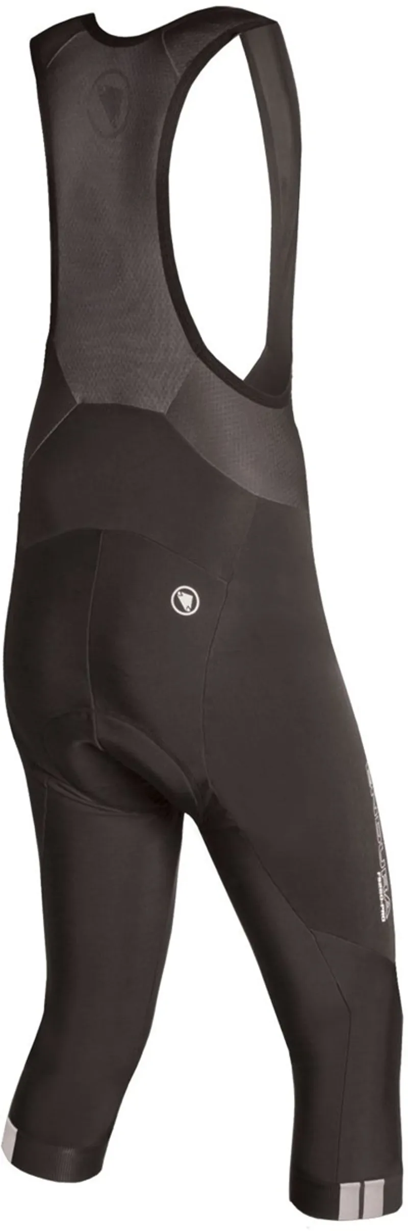 Endura FS260-Pro Thermo Bib Knicker with Pad Black-1